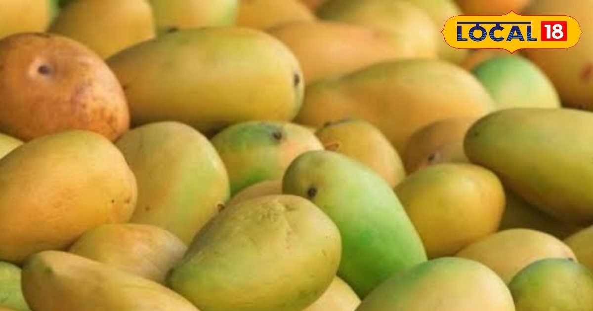 Did you also bring poison instead of mango? Identify mangoes containing chemicals with this easy trick – News18 हिंदी