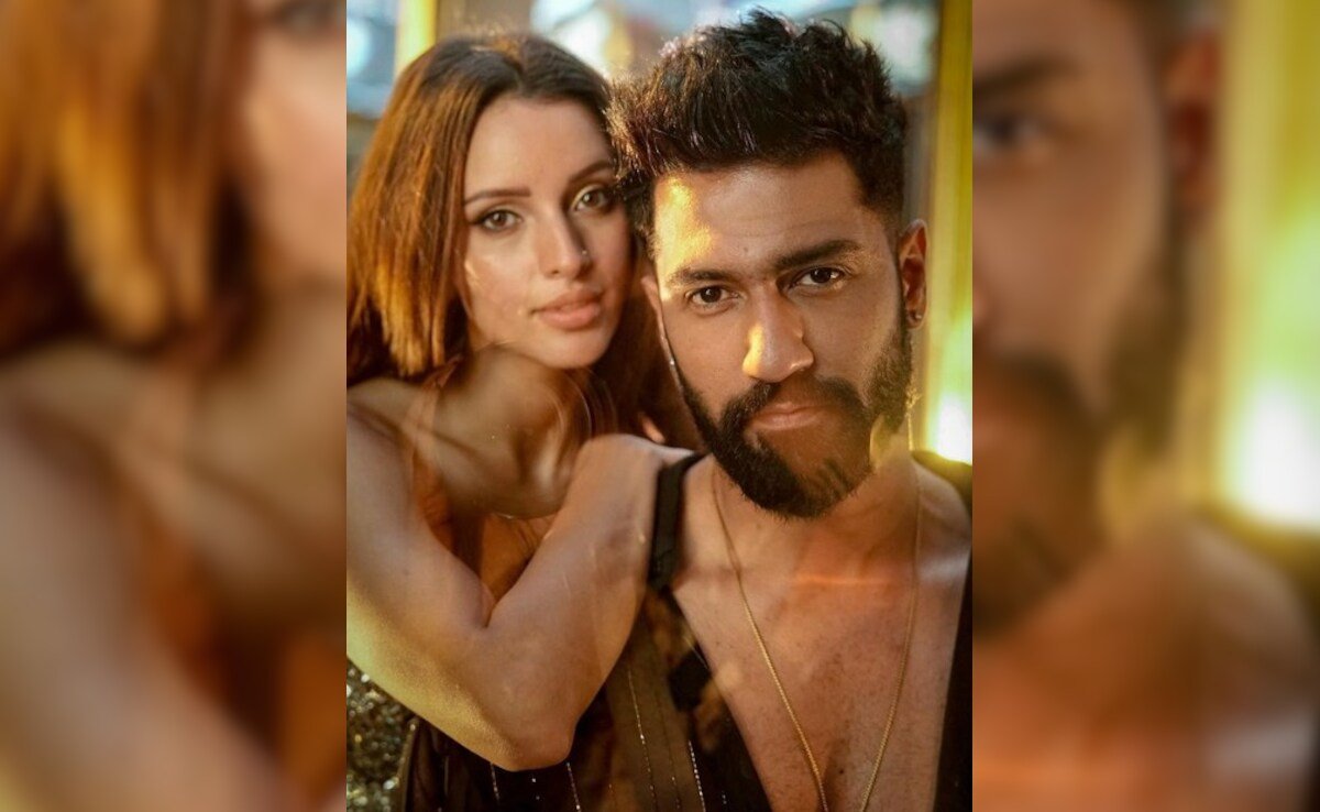 Progress Report On Vicky Kaushal And Triptii Dimri’s Film