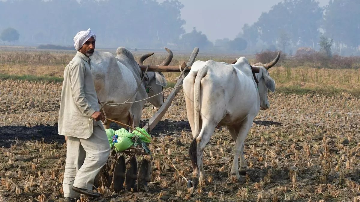 Indian monsoon commences withdrawal, will help rabi crops sowing