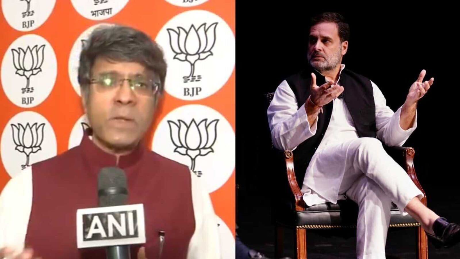 BJP leader lashes out at Rahul Gandhi over ’anti-India rant’ abroad, demands apology: ’Like a pied piper…’