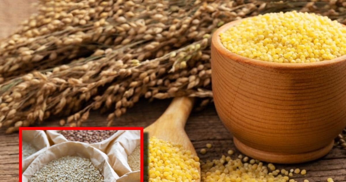 cold weather diet millets for energy and health ayurveda benefits sa