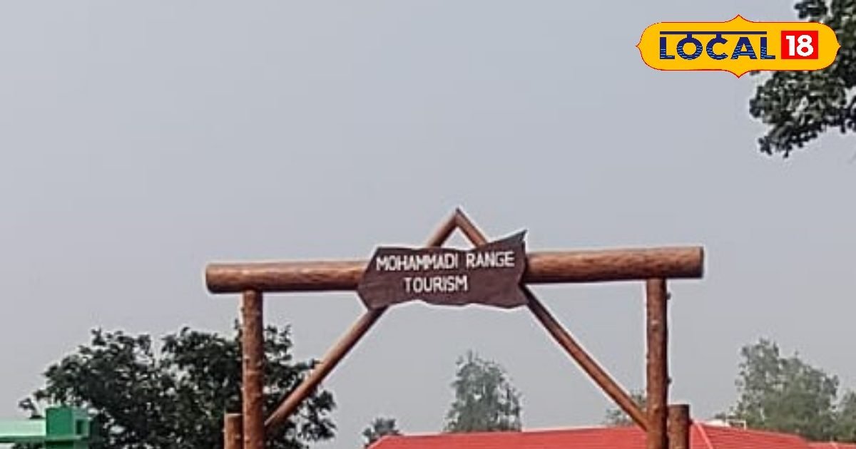 Lakhimpur Tourist Place: अब जंगल में खूंखार जानवरों का पास से दीदार करेंगे पर्यटक, 26 किलोमीटर दूर तक करेंगे एंजॉय