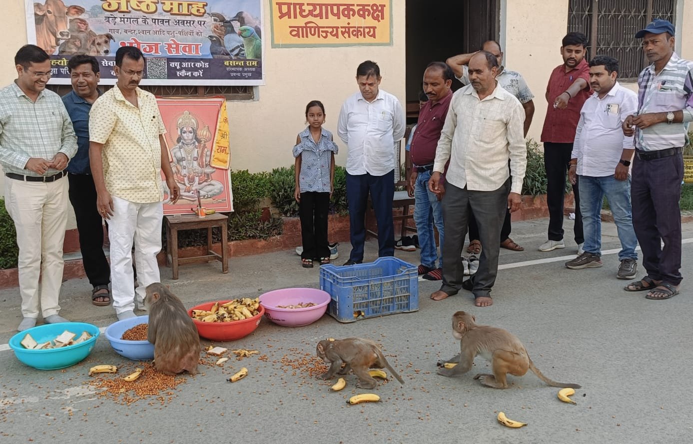 पशुओं को चना केला का कराया भोजन